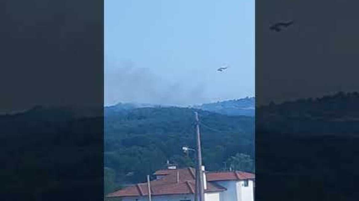 Thestival.gr Φωτιά στο Φίλυρο