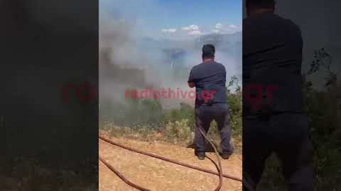 Ξέσπασε φωτιά σε δασική περιοχή στον Αγιο Βασίλη Θήβας