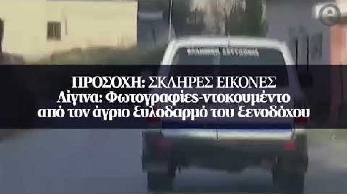 Αίγινα: Φωτογραφίες-ντοκουμέντο από τον άγριο ξυλοδαρμό του ξενοδόχου