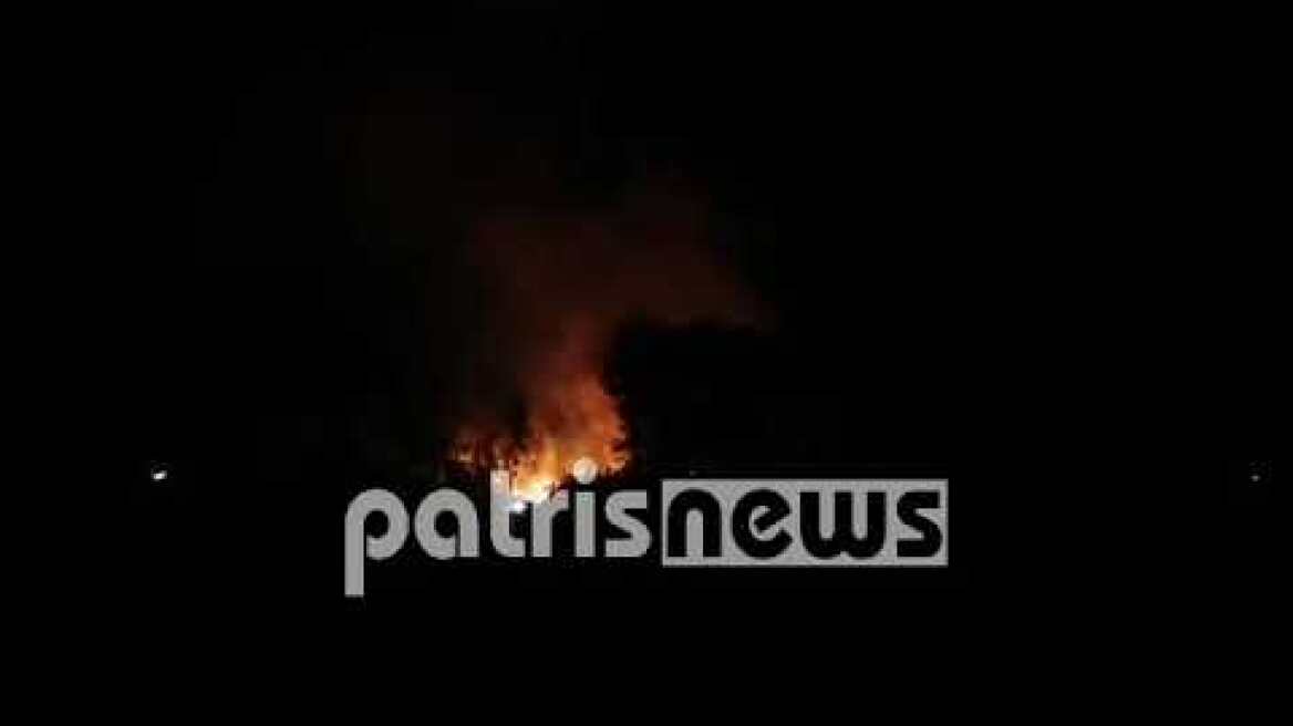 Φωτιά στην Ηράκλεια: Σε δασική έκταση κοντά στον οικισμό- Ισχυρές δυνάμεις στο σημείο