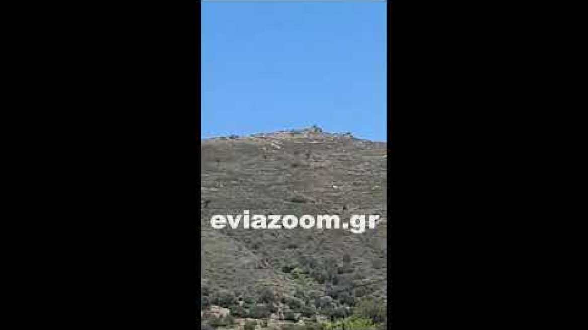 EviaZoom.gr - Κάρυστος: Μεγάλη φωτιά δίπλα σε ανεμογεννήτριες (2/7/2020)