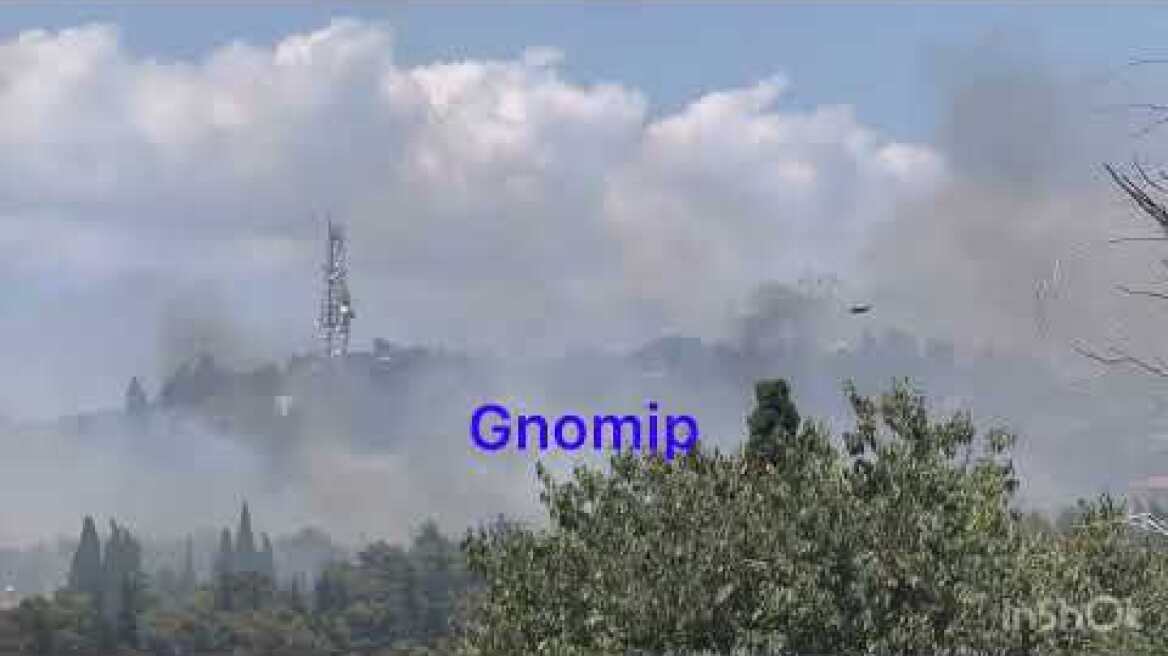 Πυρκαγιά στην Αρόη, Επιχειρούν εναέρια μέσα