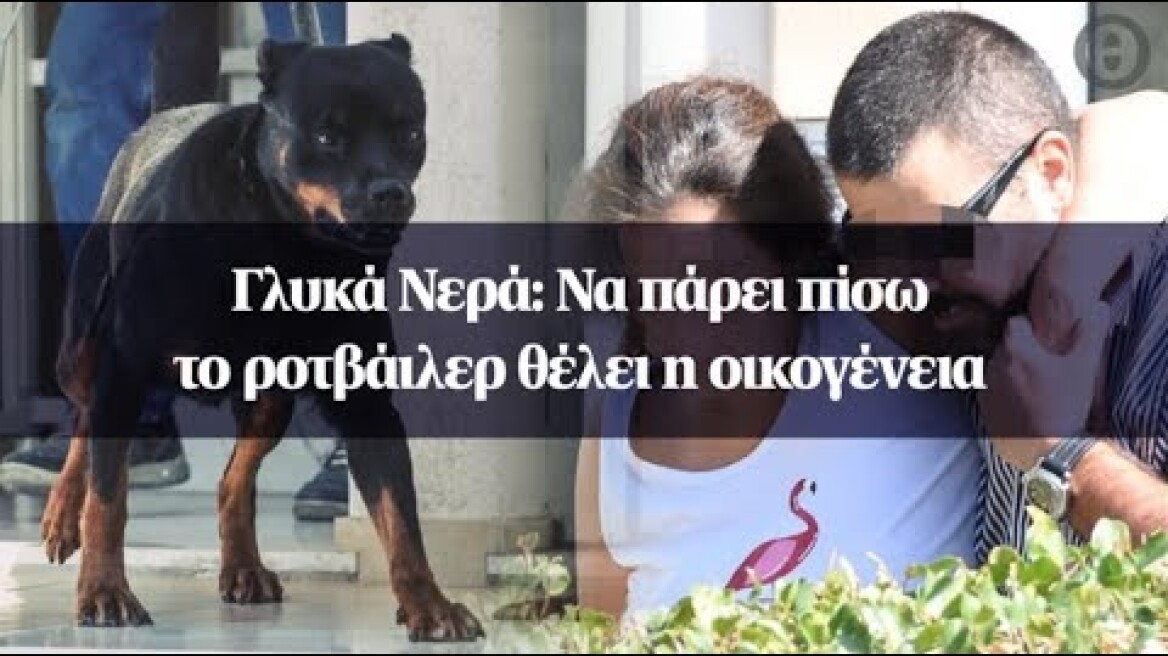 Γλυκά Νερά: Να πάρει πίσω το ροτβάιλερ θέλει η οικογένεια