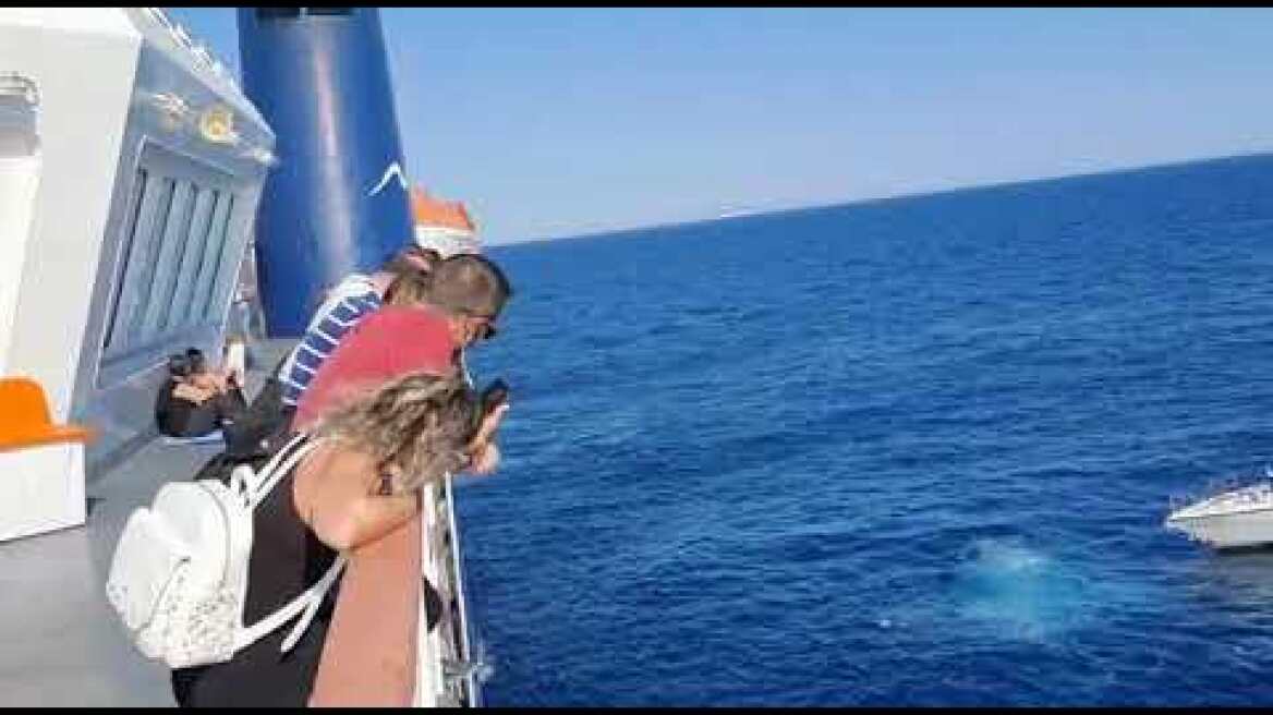 Διάσωση ιστιοπλοϊκού (5)