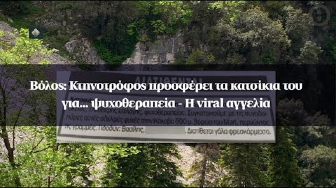 Βόλος: Κτηνοτρόφος προσφέρει τα κατσίκια του για... ψυχοθεραπεία - Η viral αγγελία