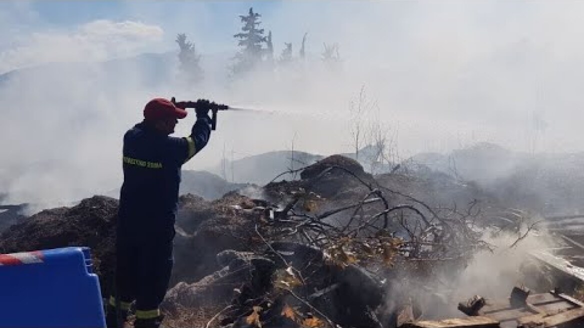 LamiaReport.gr: Φωτιά έξω από το στρατόπεδο Τσαλτάκη