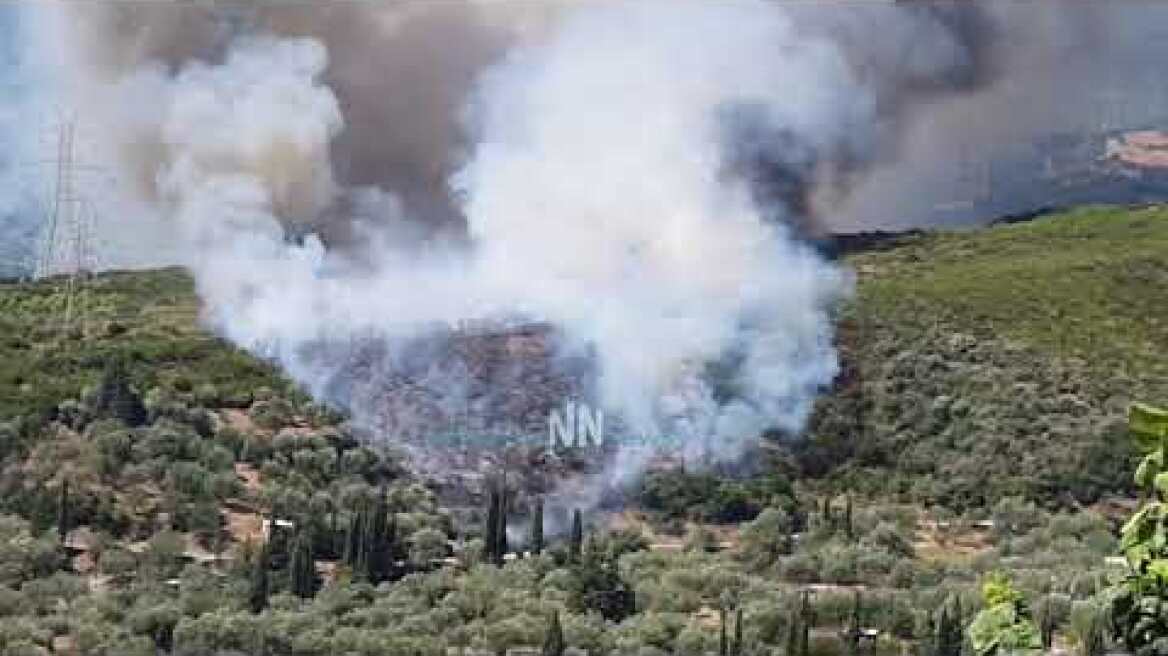 Nafpaktia news:Νέα μεγάλη  πυρκαγιά στην Αφροξυλιά Ναυπακτίας.
