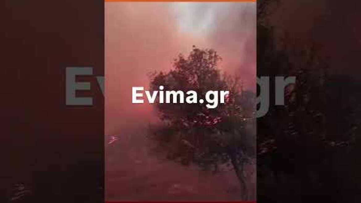 Ανεξέλεγκτη η φωτιά στην Εύβοια