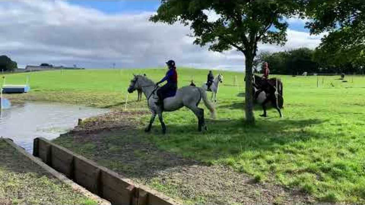 Sir Mark Todd hits horse with tree branch