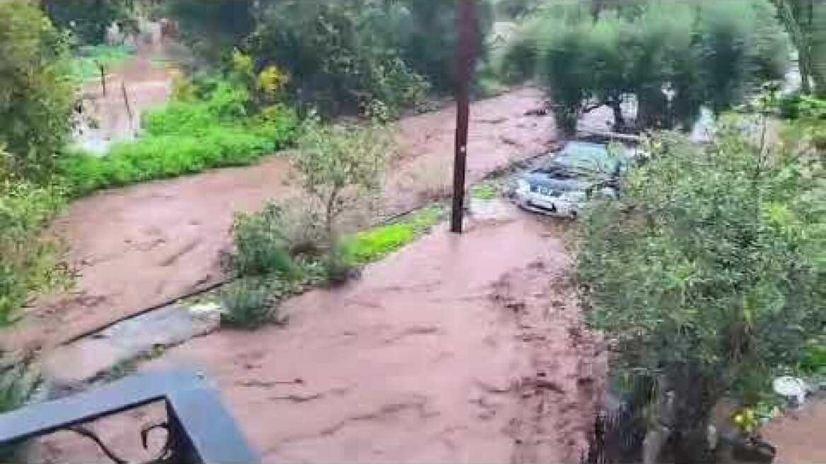 Χωριό Πλάτανος στο Γύθειο