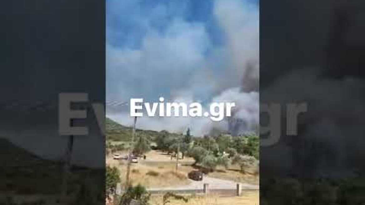 Φωτια στην Εύβοια