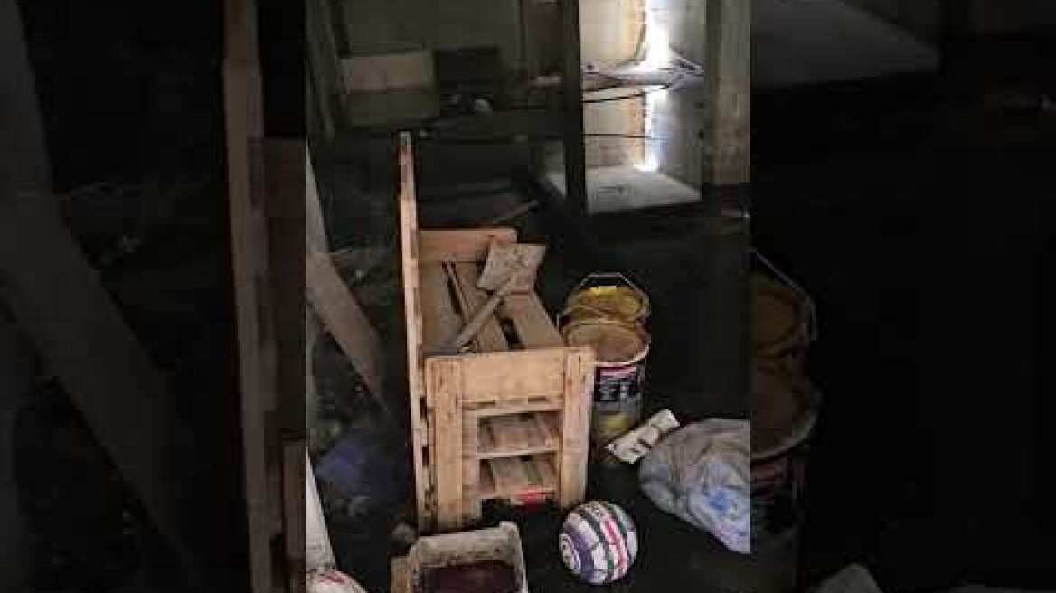 Απoγοητευτικές εικόνες από καταφύγια στην Κύπρο: Σε πάρκινγκ πολυκατοικιών, αποθήκες και.. κοτέτσια2