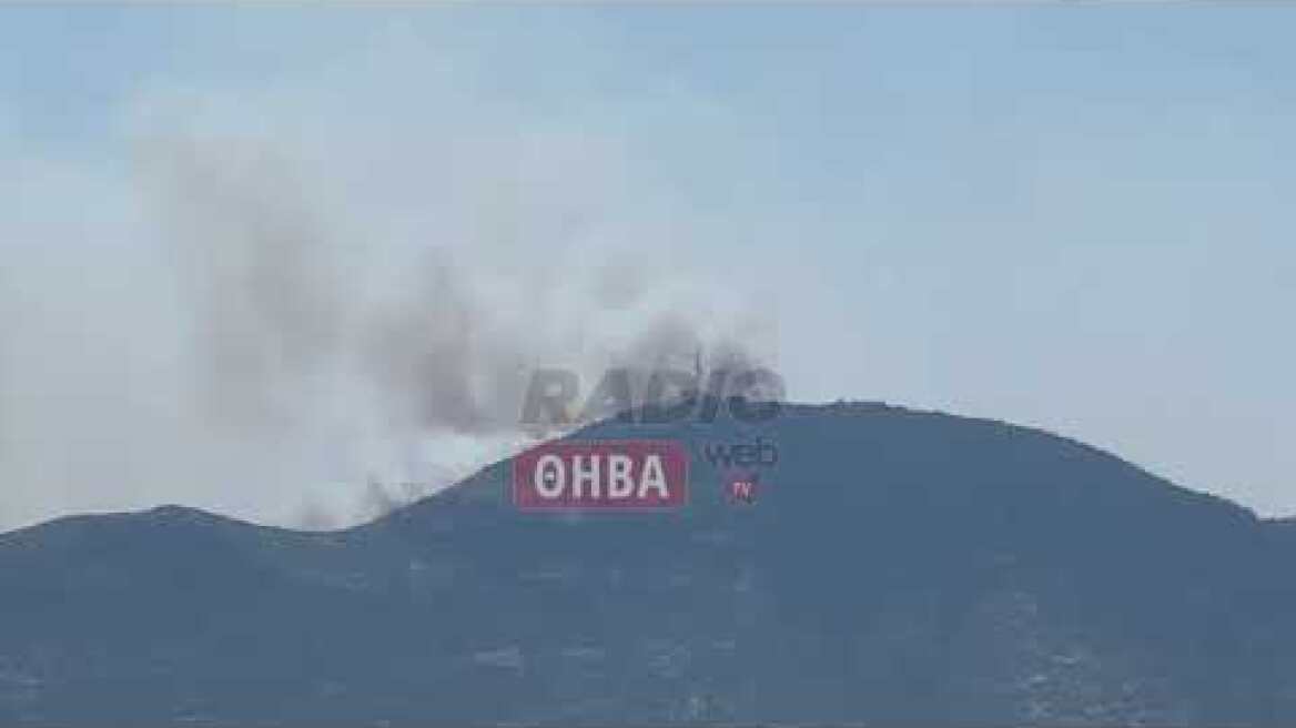 Μεγάλη φωτιά στον Κιθαιρώνα