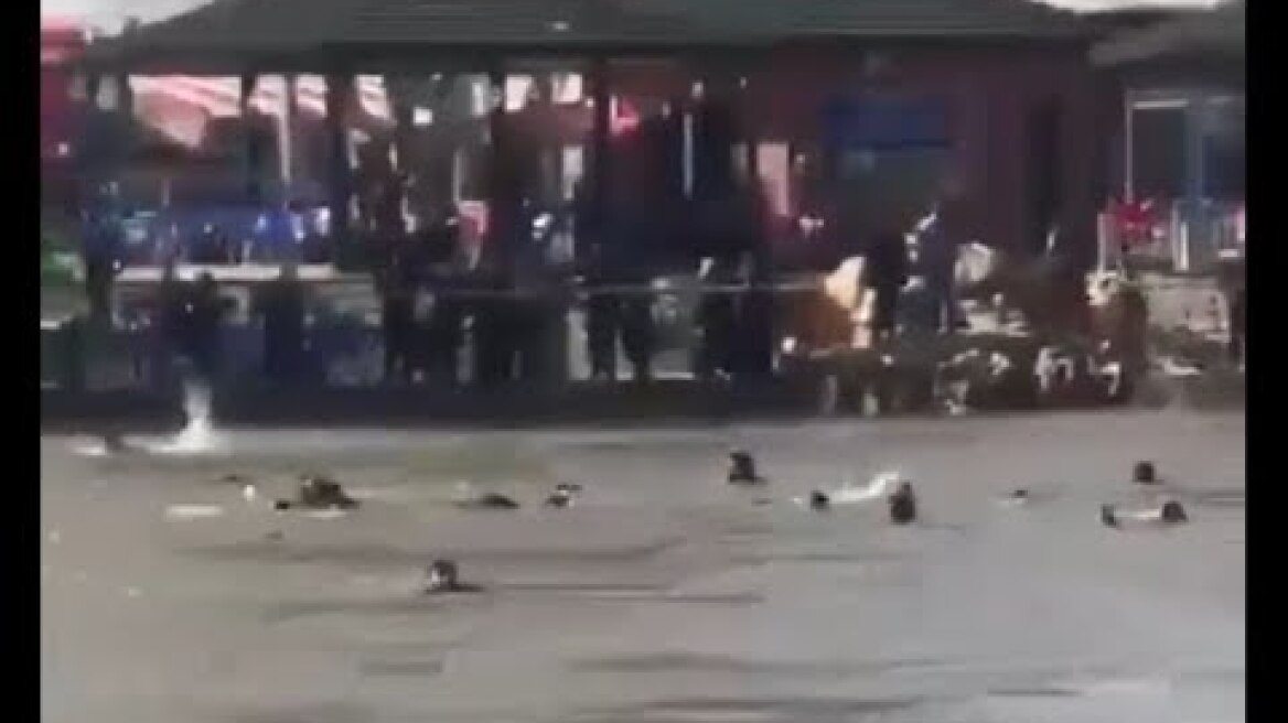 More than 70 killed after ferry sinks near Mosul in Iraq