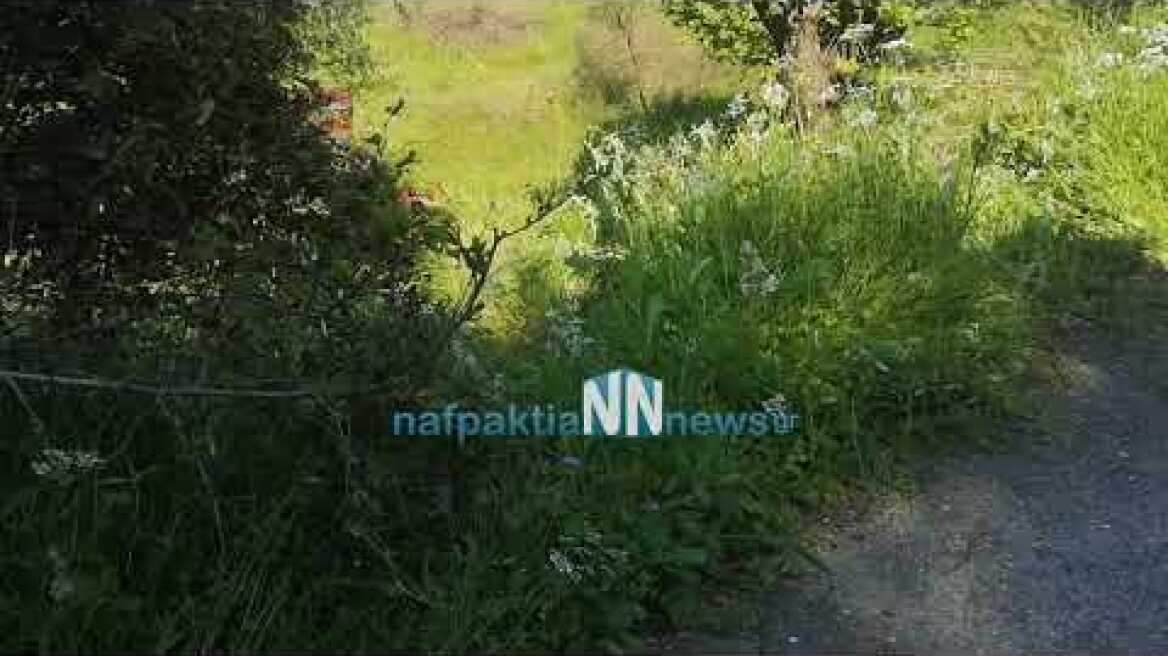 Θανατηφόρο τροχαίο με τρακτέρ στην Άνω Βασιλική Ναυπακτίας