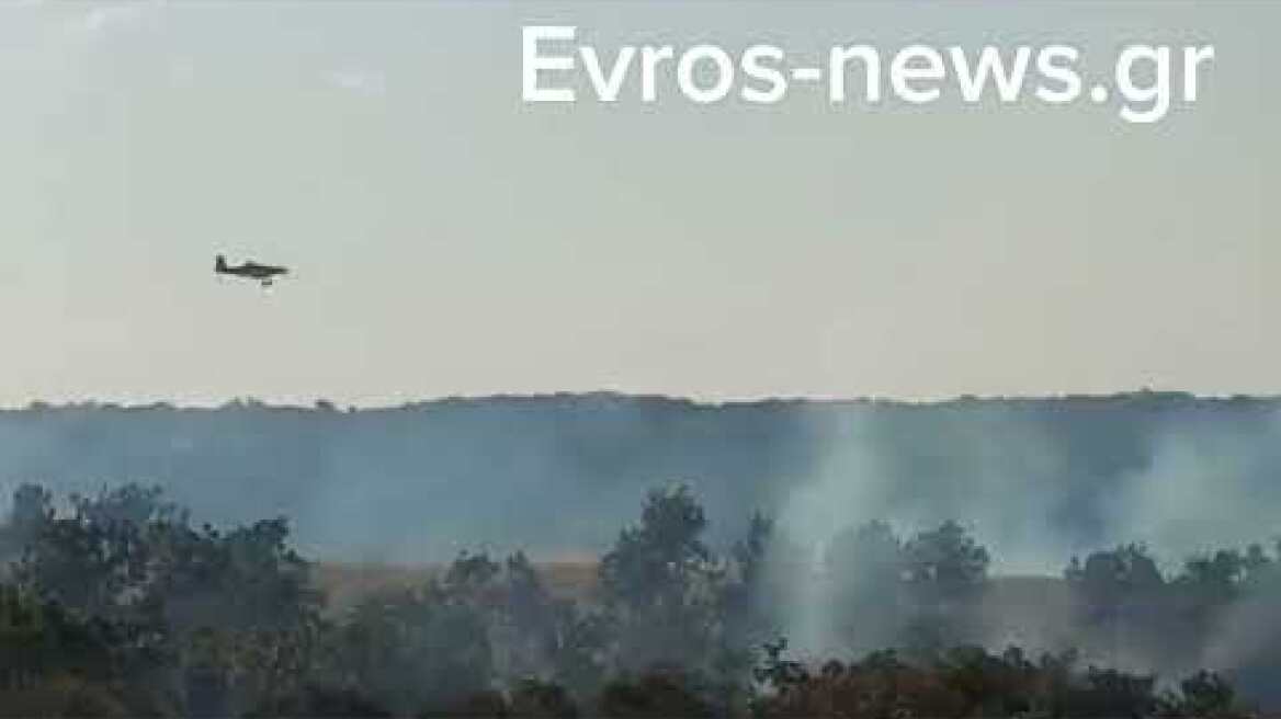 Πυροσβεστικά αεροπλάνα στην πυρκαγιάΑλεξανδρουπολης