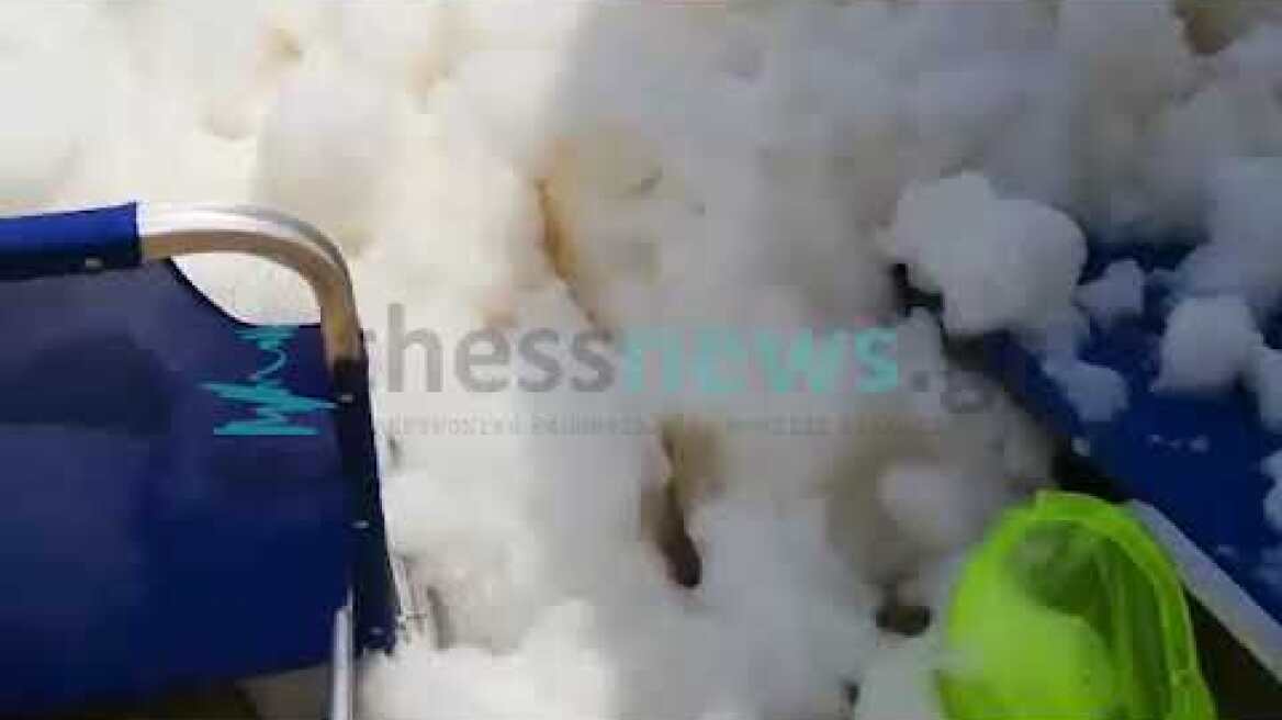 Παραλία Τηγάνια Σιθωνία Χαλκιδικής - Φαινόμενο ευτροφισμού