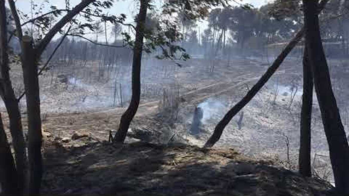 Βαρυμπόμπη καμένα 7/8/2021
