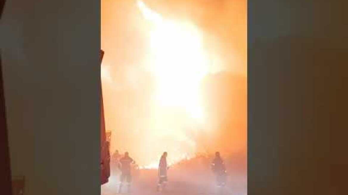 Πυρκαγιά στο Δάσος Στροφυλιάς Αχαϊας (4)