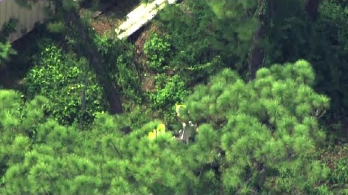 Crews appear to capture bear at Magic Kingdom