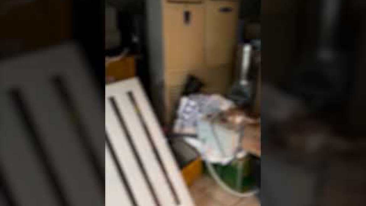 Η Ελληνική Αστυνομία στην επιχειρησιακή δράση SHIELD V