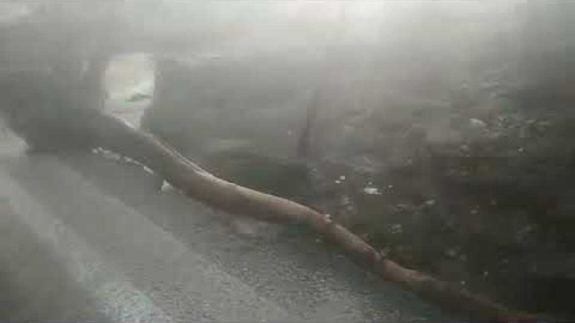 Βίντεο από Κινέτα το πρωί της Δευτέρας