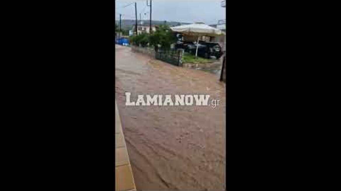 Χείμαρρος στην Γλύφα