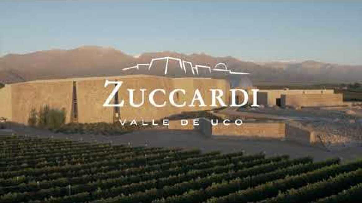 Οι καλύτεροι αμπελώνες στον κόσμο