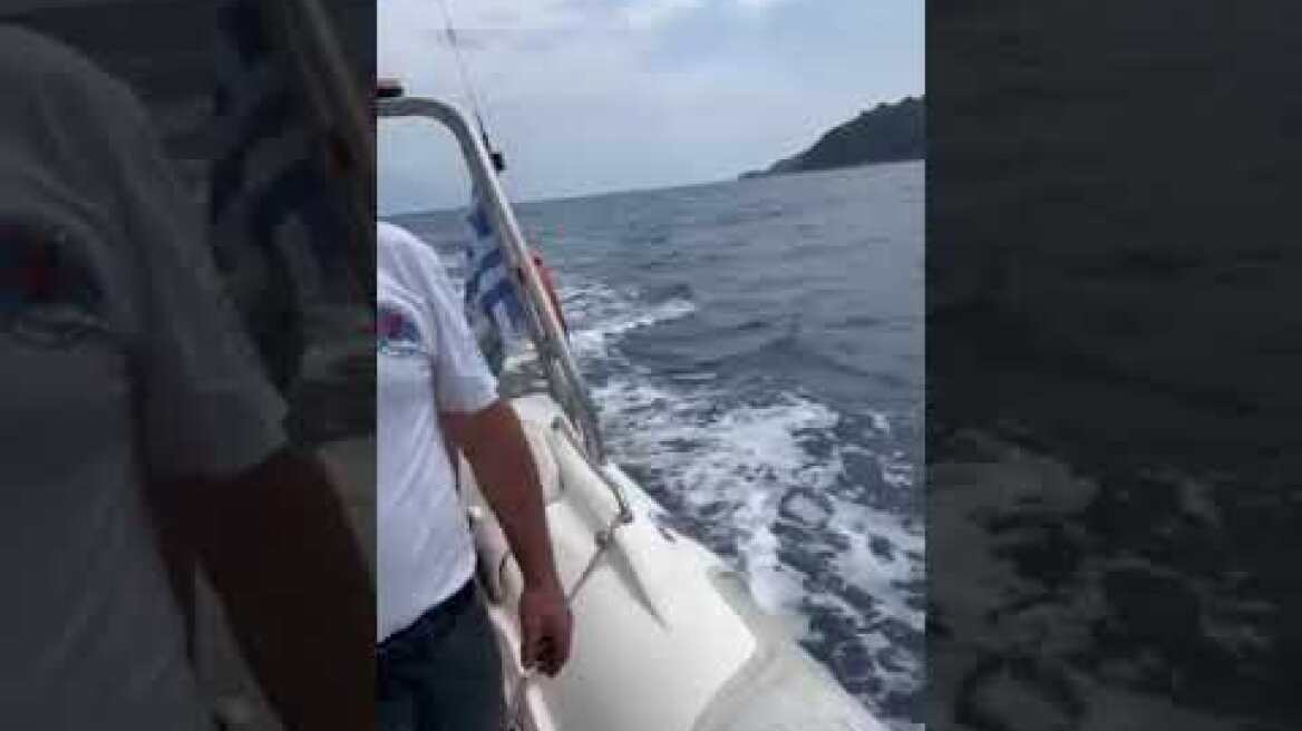 Έρευνες της ΕΟΔ στη Χαλκιδική για το περιστατικό με το σαπ (2)