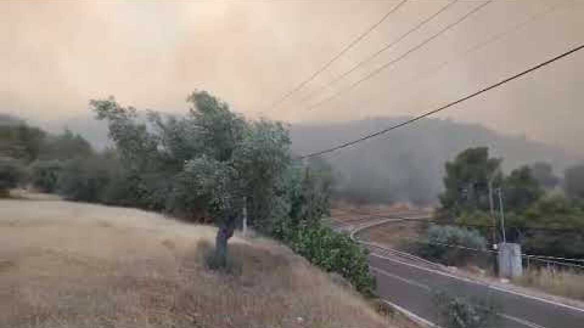 Κύκλωσε η φωτιά στη Νέα Ζωή Μάνδρας