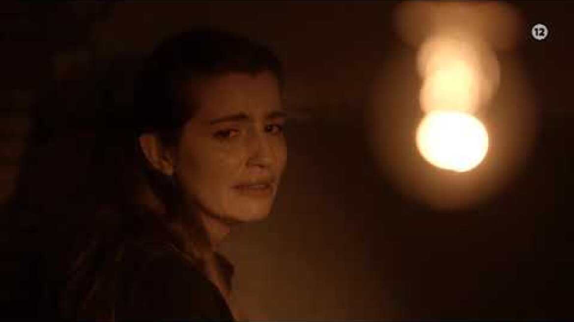 ΑΓΡΙΕΣ ΜΕΛΙΣΣΕΣ - Β Κύκλος