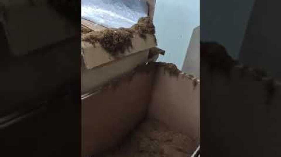 Χτύπημα της Αστυνομίας σε παράνομα εργοστάσια καπνού και τσιγάρων 2