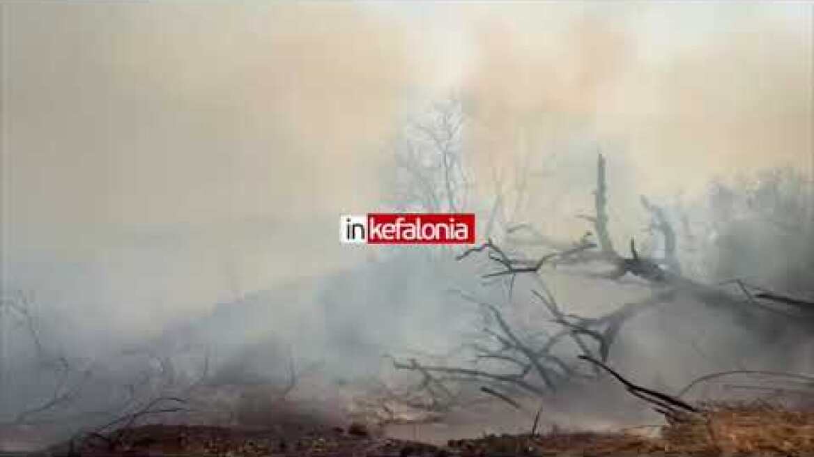 Πυρκαγιά στη Λειβαθώ 2