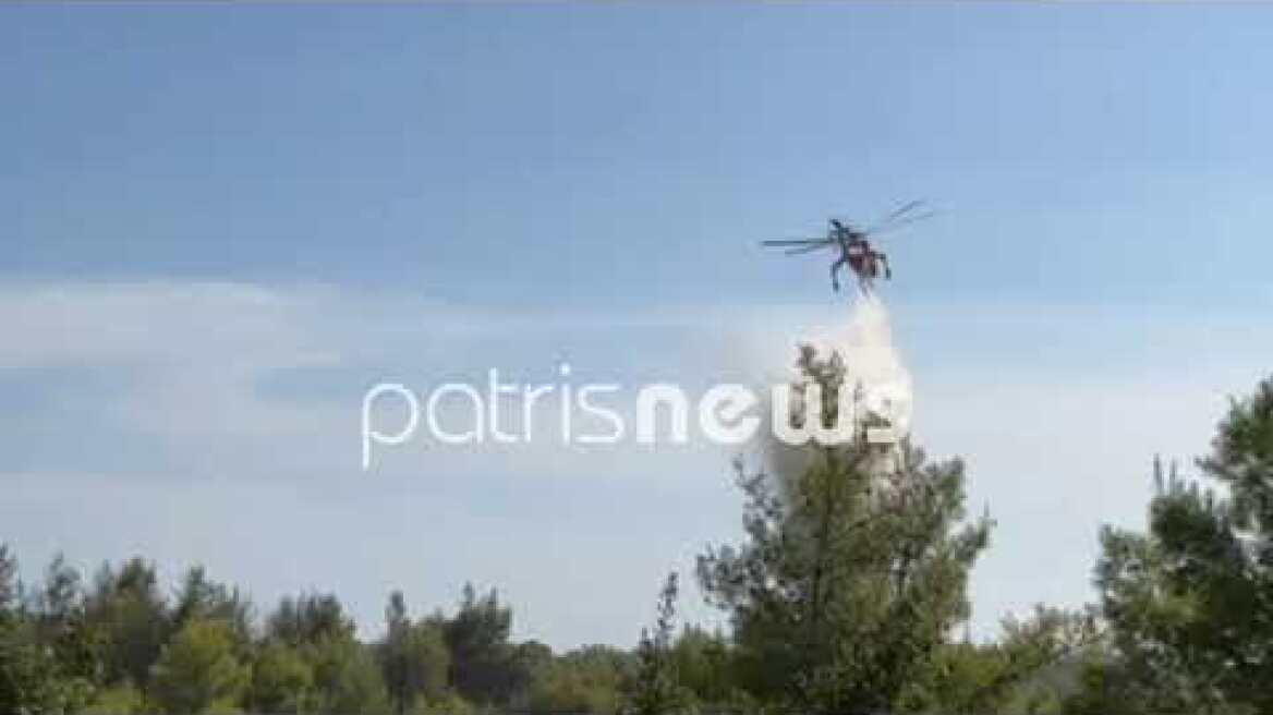 Ηλεία: Πυρκαγιά στο Γεράκι