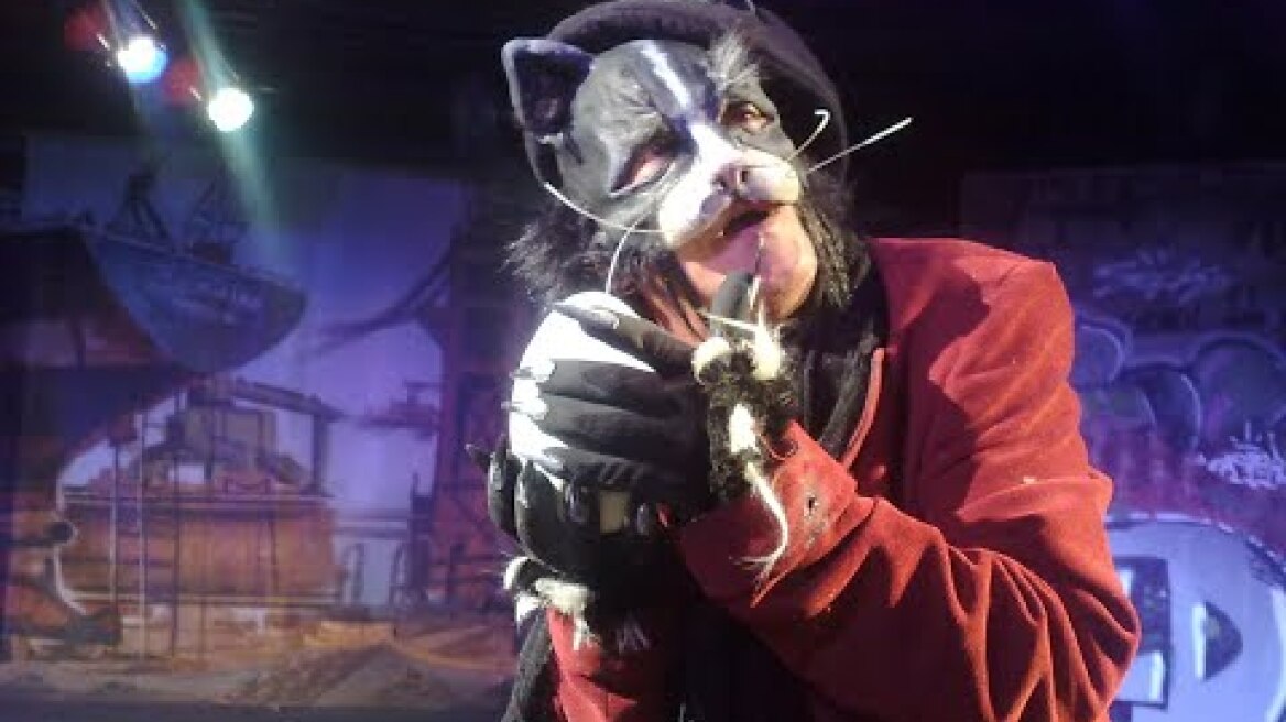 Η ιστορία του γάτου που έμαθε σ' ένα γλάρο να πετάει ~ Θέατρο κάτω απ' Τη Γέφυρα ~ ΠΡΟΣΕΧΩΣ 2024-25