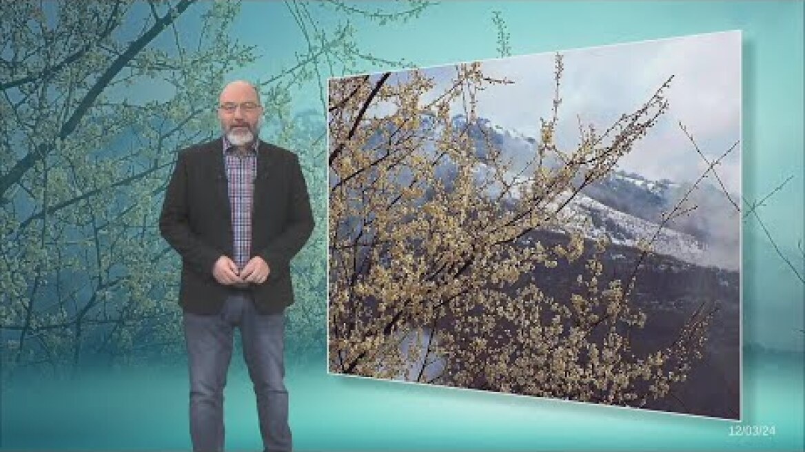 Δελτίο Καιρού με τον Σάκη Αρναούτογλου | 12/03/2024 | ΕΡΤ