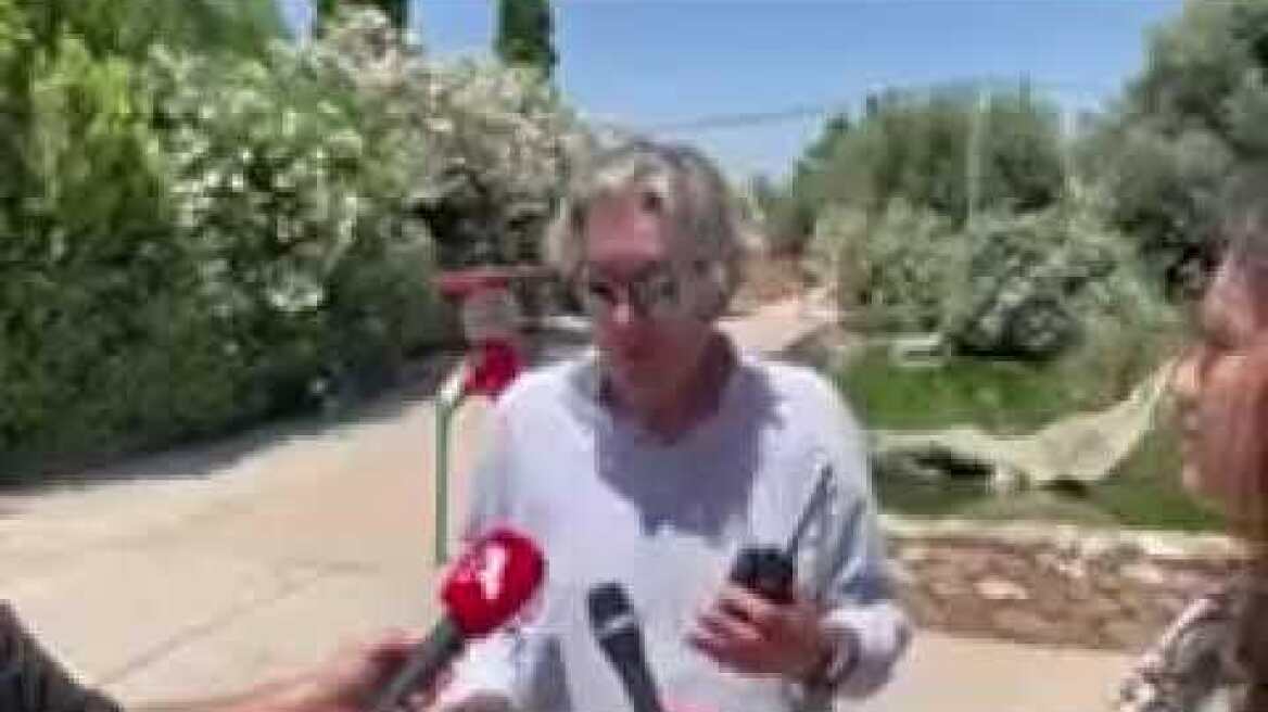 Δηλώσεις για τον χιμπατζή στο Αττικό Πάρκο (1)