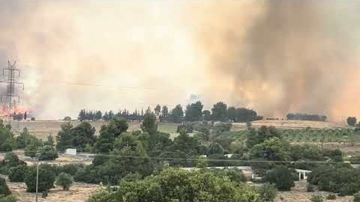 Φωτιά στα Μέγαρα (20/7)