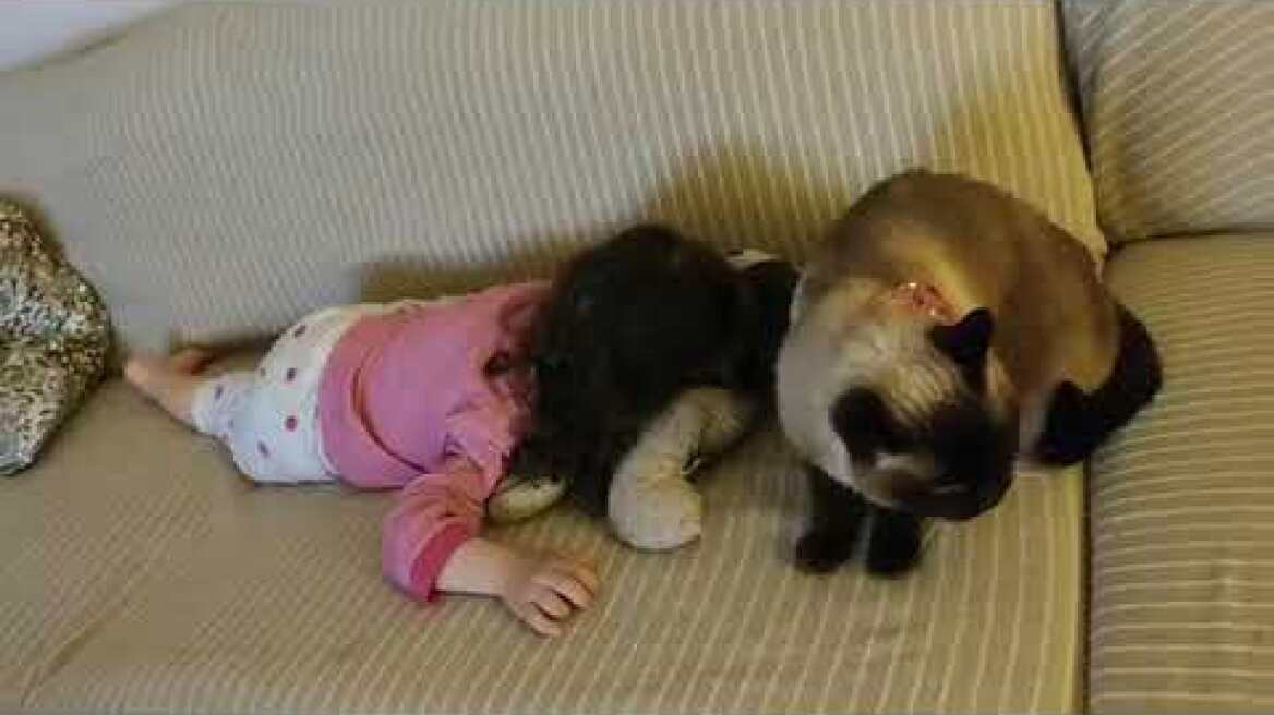 H κόρη της Κατερίνας Τσάβαλου κοιμάται και η γάτα τους τη φυλάει!