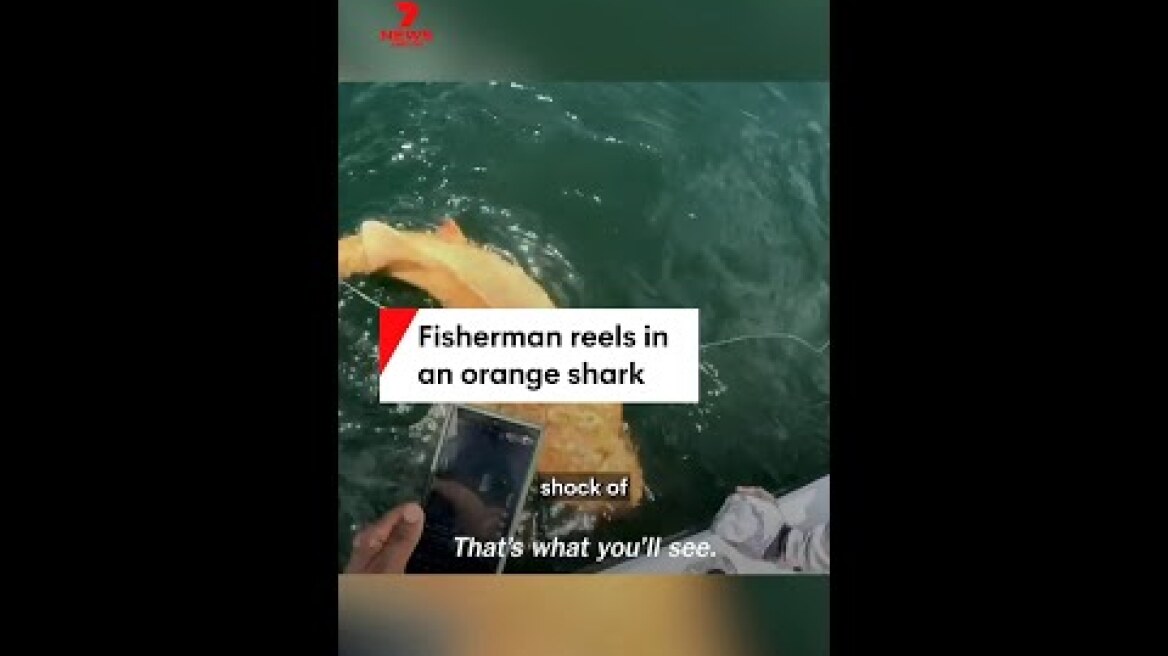 Fisherman reels in an orange shark