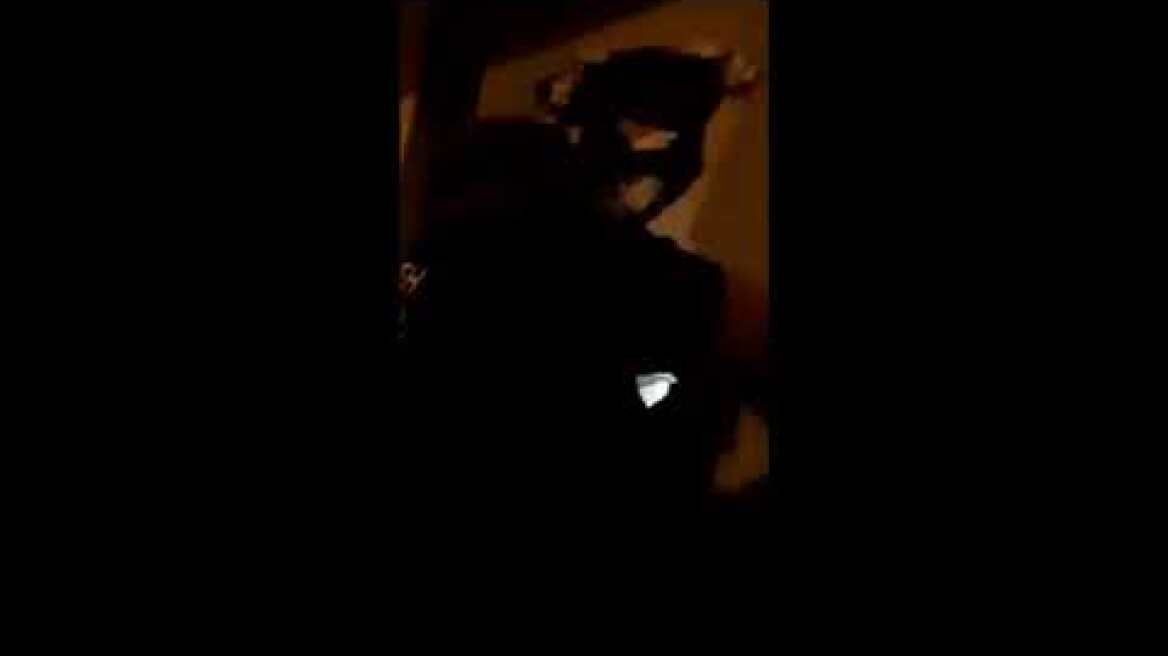 Πυροσβέστες έσωσαν γάτα που κάποιος έκλεισε με γυψοσανίδα σε κατάστημα της Θεσσαλονίκης 22-5-2020