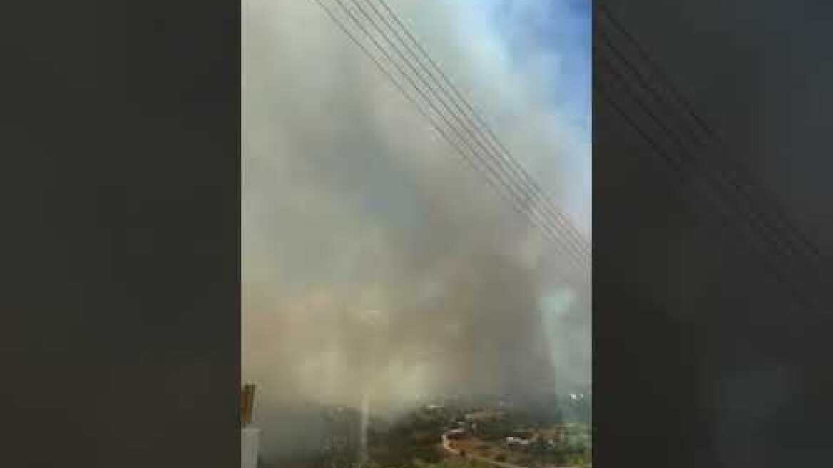 Φωτιά στις Στραπουριές Άνδρου