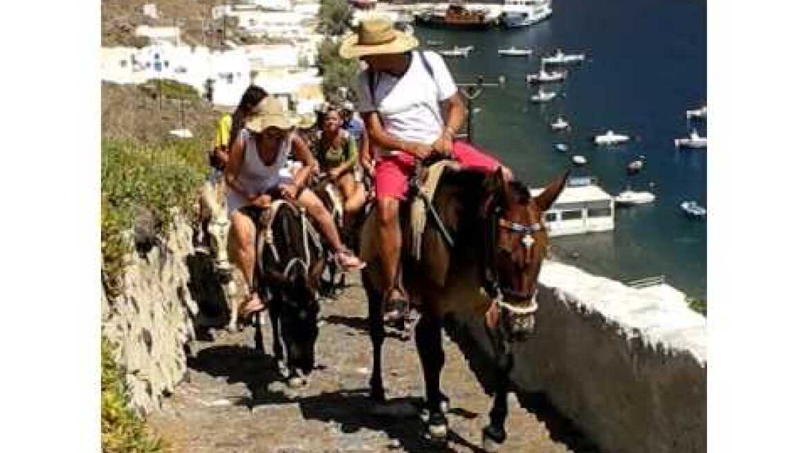A Ride on Donkeys. Thirassia Island - Santorini. ΒΟΛΤΑ ΜΕ ΓΑΙΔΟΥΡΑΚΙΑ ΣΤΗΝ ΘΥΡΑΣΙΑ ΣΑΝΤΟΡΙΝΗΣ.
