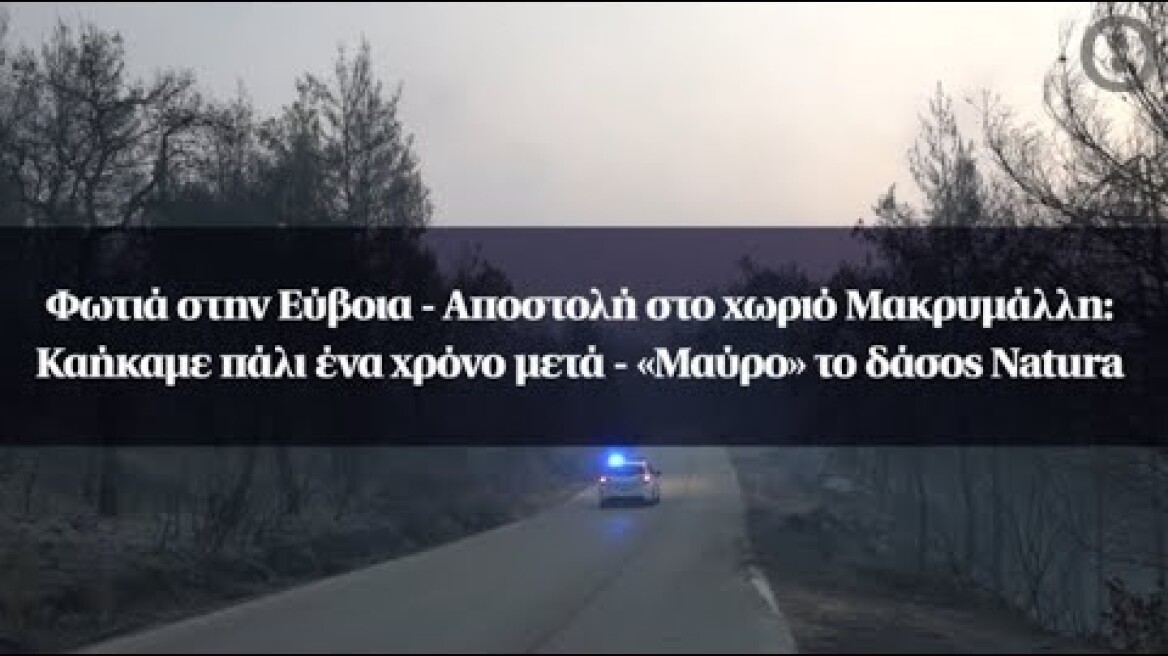 Φωτιά στην Εύβοια - Αποστολή στο χωριό Μακρυμάλλη - «Μαύρο» το δάσος Natura