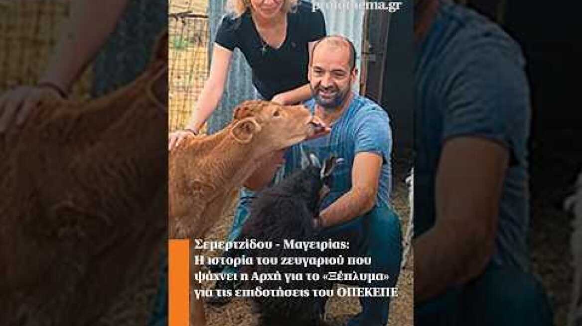 Σεμερτζίδου - Μαγειρίας: Η ιστορία του ζευγαριού που ψάχνει η Αρχή για τις επιδοτήσεις του ΟΠΕΚΕΠΕ