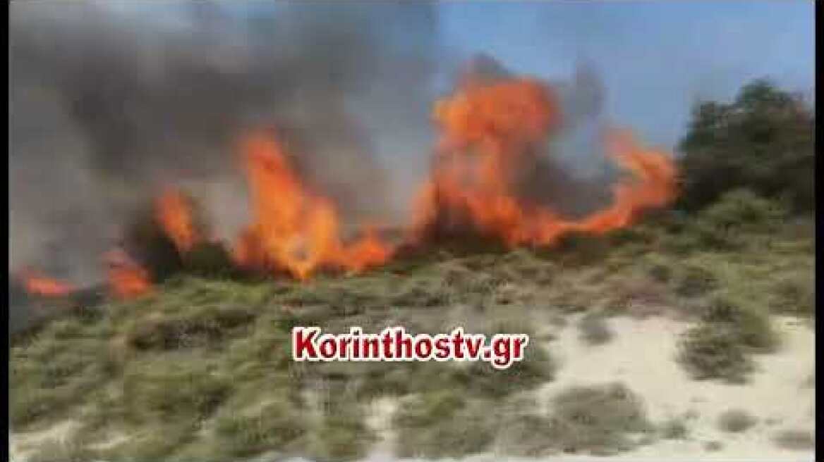 Πυρκαγιά σε δασική έκταση στο Καίσαρι Κορινθίας