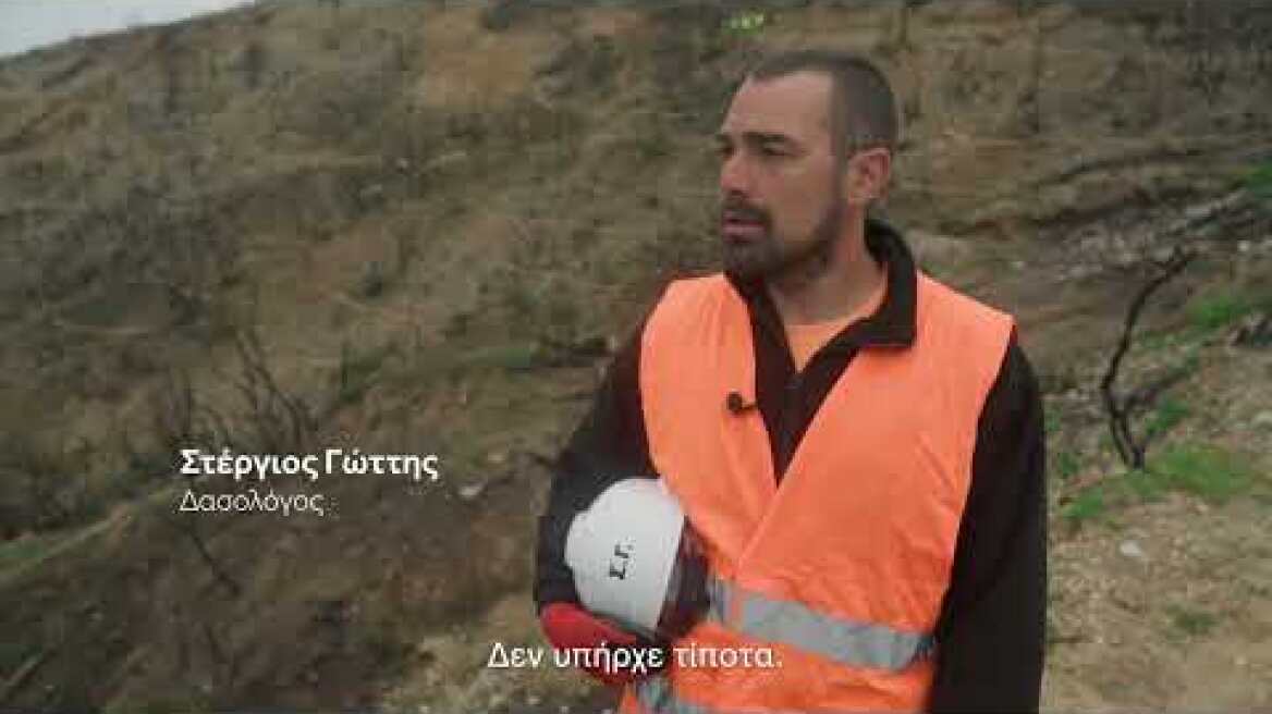 Αχαΐα - Έργα για το περιβάλλον: Η ιστορία του Στέργιου