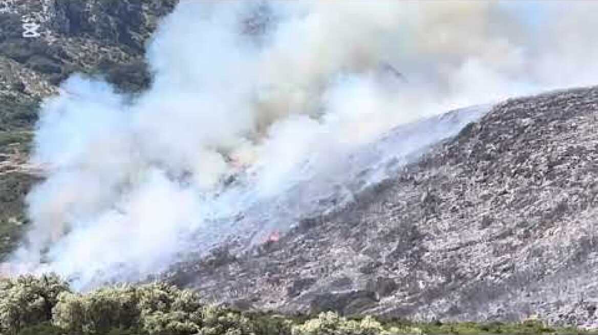 Σε εξέλιξη η πυρκαγιά στον Αθέρα Κεφαλονιάς – Κατευθύνεται προς τους Πετανούς