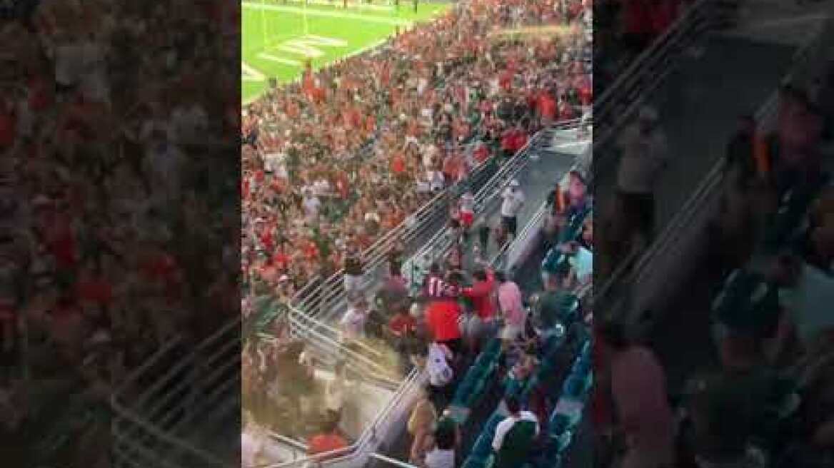 FANS CATCH FALLING CAT AT MIAMI GAME 😱😱 #shorts