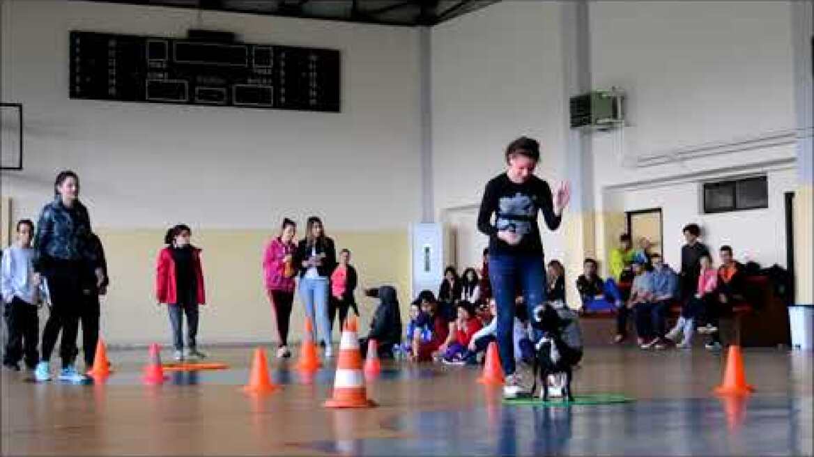 ΠΑΙ.ΖΩ  -  Θεραπεία με τη Βοήθεια Ζώων ,2ο μέρος !